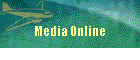 Media Online